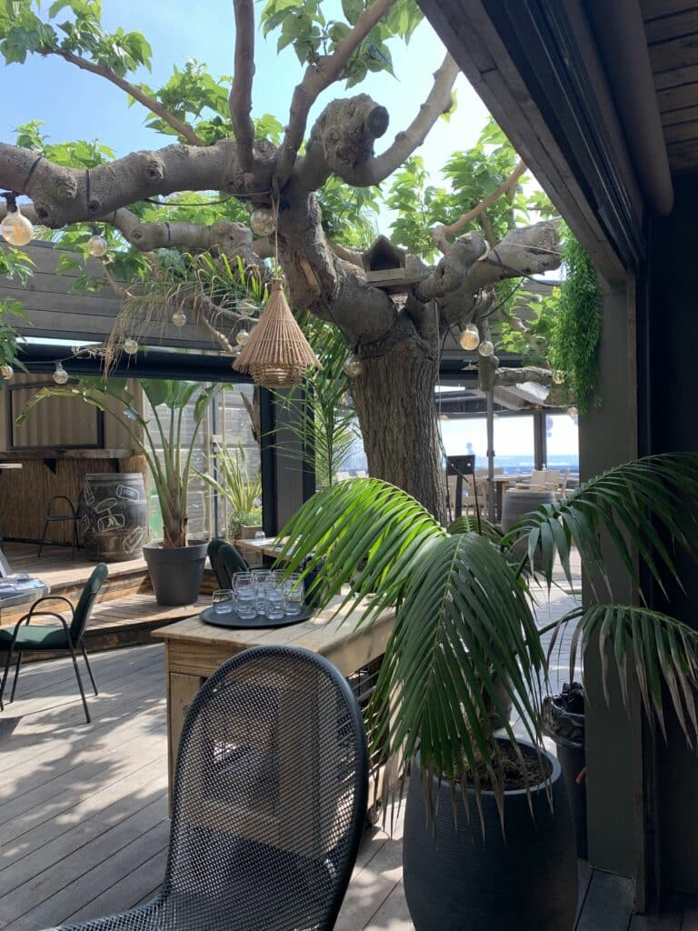 Restaurant Canet en Roussillon Miramar salle exterieur
