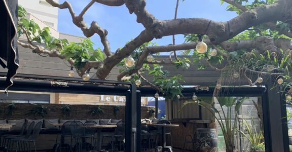 Le Miramar votre restaurant à Canet-en-Roussillon